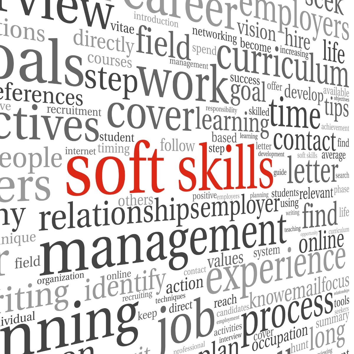 Hire for soft skills, not for technical skills 